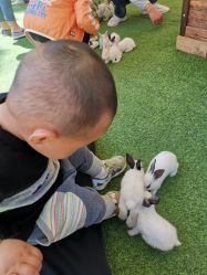 -萌宠亲子动物乐园(槐房万达店)