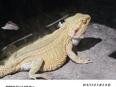 -青青世界