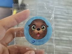 -石家庄海洋公园