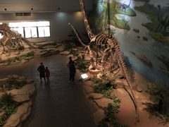 展馆-自贡恐龙博物馆