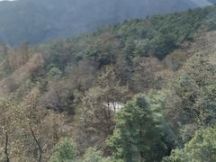 -苍山感通索道
