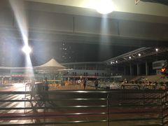 -宝体健身会(宝安体育馆店)