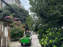 -花园菜市场