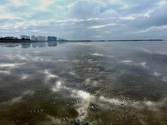 -奉贤海滩