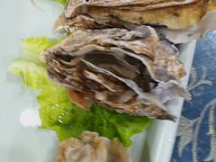 -威海渔村(黄兴路店)