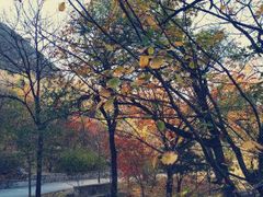 -阳台山自然风景区