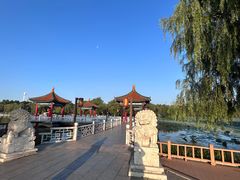 -长春市南湖公园