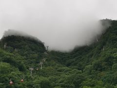 -牛背梁国家森林公园