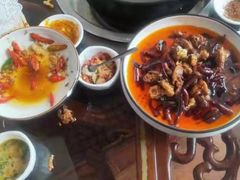 -志晖园圆子鸡·辣子鸡(阳光店)