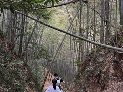 -莫干山风景区