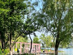 -天鹅湖体育公园