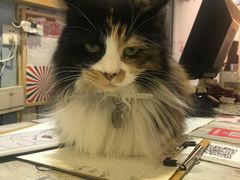 -小时光咖啡馆(开森度假森林店)