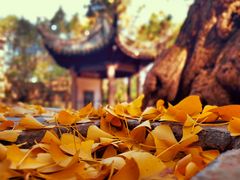 -惠山古镇·寄畅园