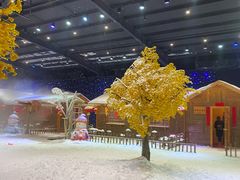 -宁波冰雪大世界(北仑区)