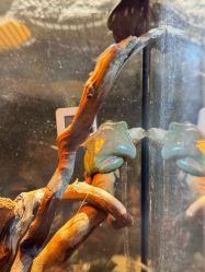 -Zoolung Zoolung动物主题公园(海信广场店)