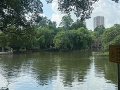 -晓港公园