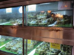 -成隆行·蟹王府(九江路店)
