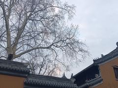 -灵谷景区