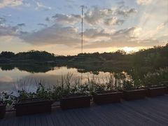 -福田红树林生态公园
