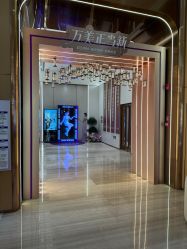 -深圳美莱医疗美容医院