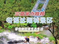 -呀诺达热带雨林