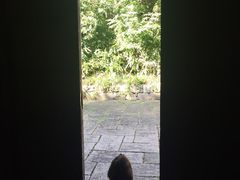 -法云安缦酒店