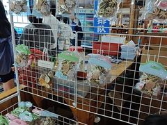 -蓝湾碧波·老字号·疍家非遗海上餐厅