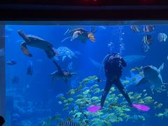 -太平洋海底世界