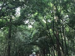 -灵谷景区
