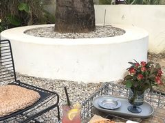 -自由生长植物工作室(深港花卉中心店)