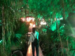 -大鹅岛绿色生态美食园