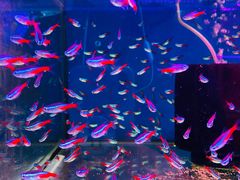 -双季花艺园艺市场(浦东店)