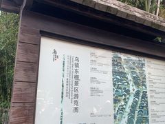 -乌镇东栅景区