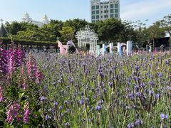 -龙环葡韵住宅式博物馆