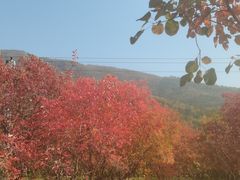-北京十三陵国家森林公园蟒山景区