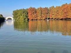 -上海海湾国家森林公园