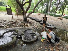 -成都市活水公园