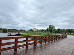 -黑瞎子岛探秘野熊园
