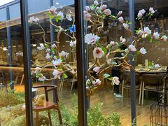 -拈菜(观音桥阳光世纪店)