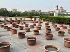 -莲花池公园