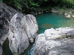 -广州白江湖森林公园