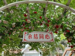 -东风公园