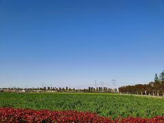 -嘉北郊野公园