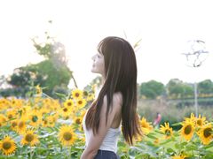-荷兰花海