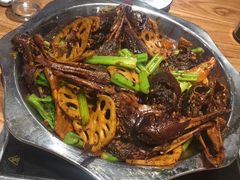 -唐闸邵记鸡煲馆
