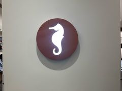 -海马体大师店(广州天汇广场IGC大师店)