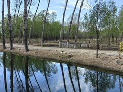 -东郊湿地公园