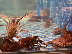 -蓝钻·国际美食海鲜自助百汇(西直门店)