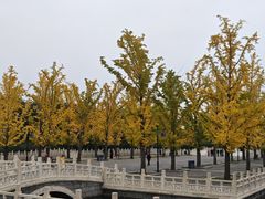 -晋祠公园