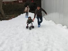 -梦幻奥陶纪景区